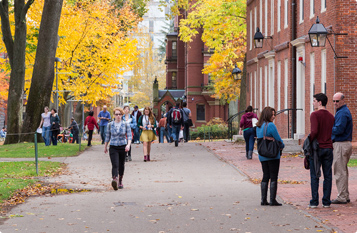 在线电话轰炸软件